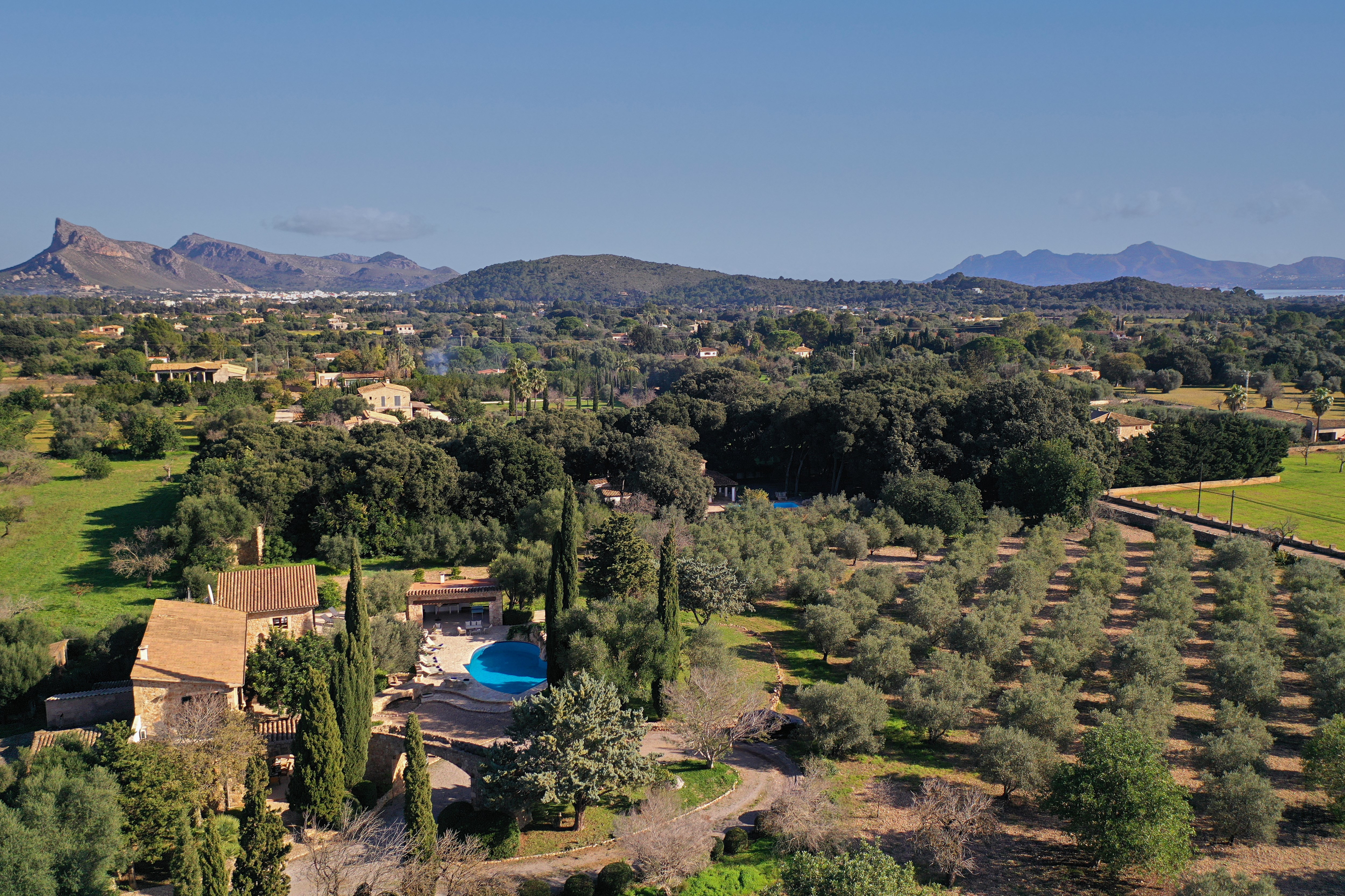 The Estate